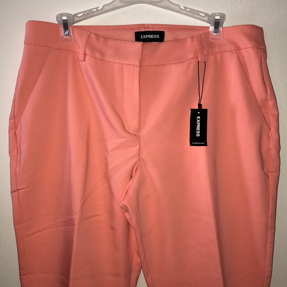 Express Columnist Ankle Pant